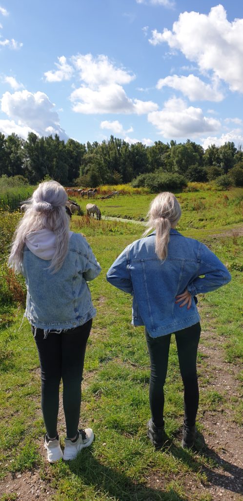 Vrouwelijke ondernemers Free Yourself Nature walk
