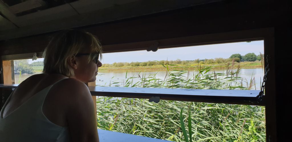 Vrouwelijke Ondernemer Free Yourself Nature Walk