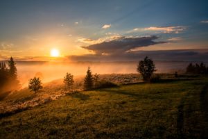 Zonsopkomst over een veld