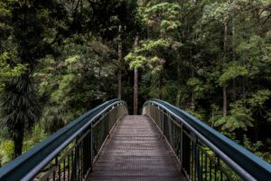 Brug door het bos als uitweg