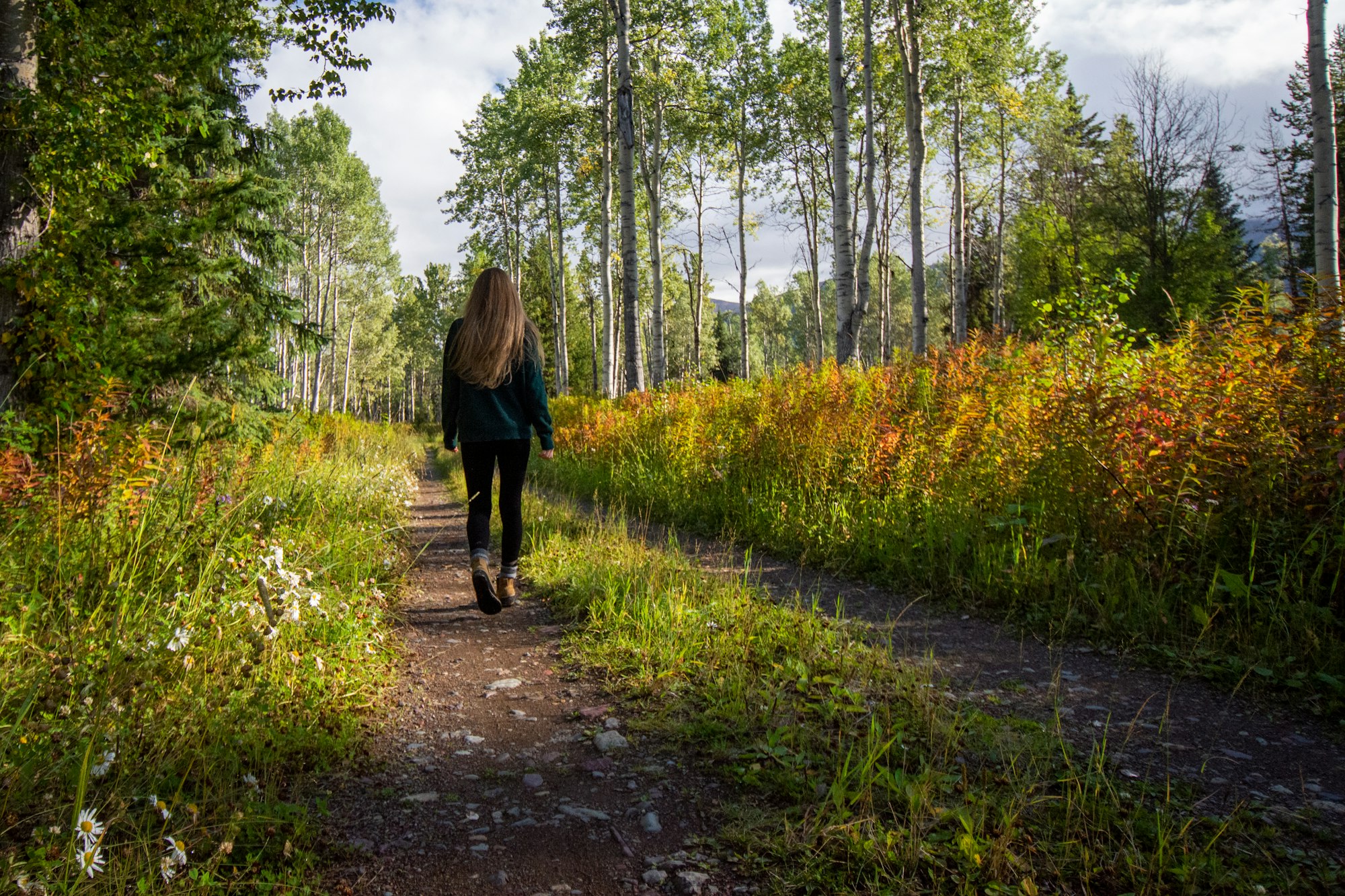 Vrouw loopt een bospad af tussen hoge bomen