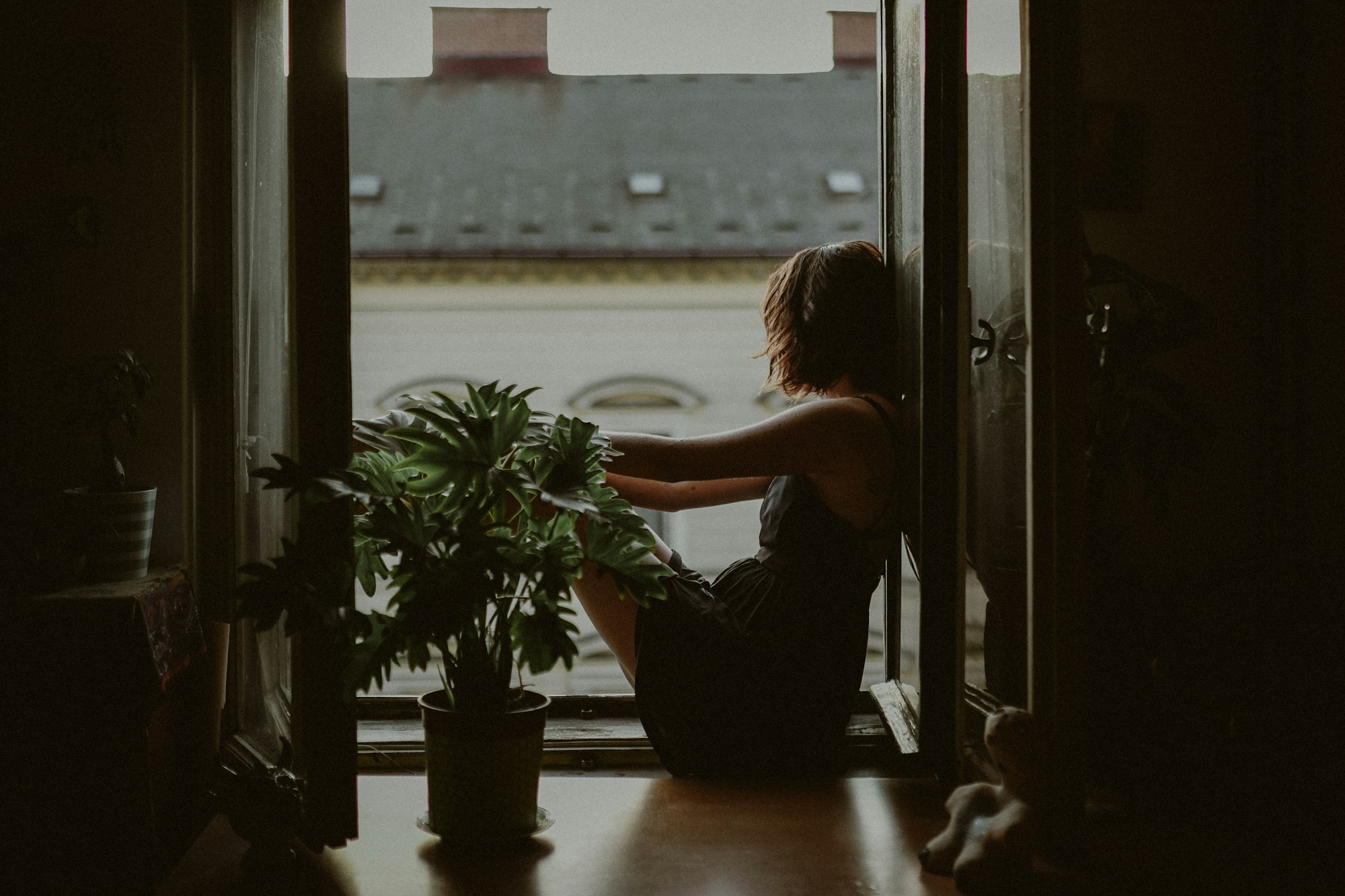 Vrouw zit bij een raam tussen planten in zacht binnenlicht