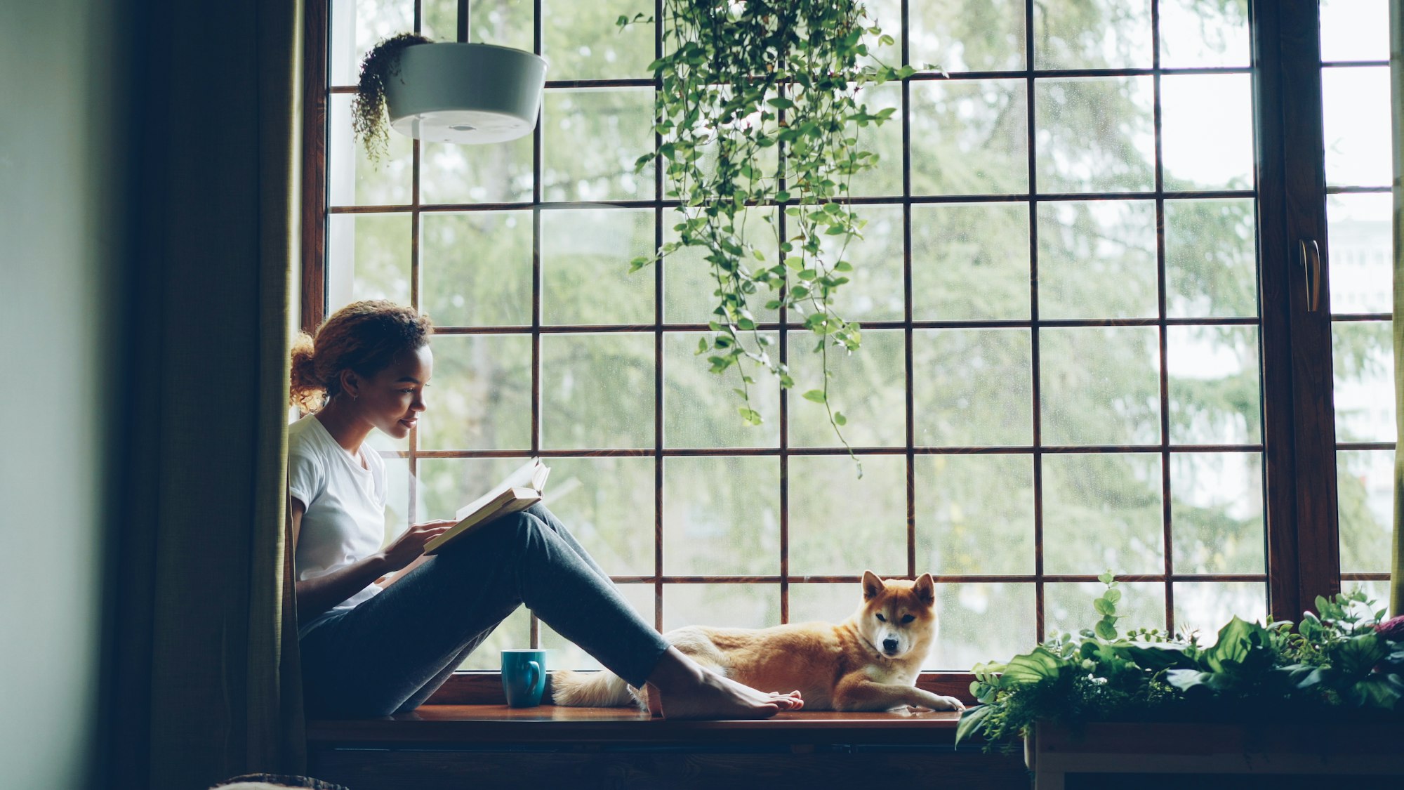 Vrouw zit lezend in een grote vensterbank met haar hond naast zich