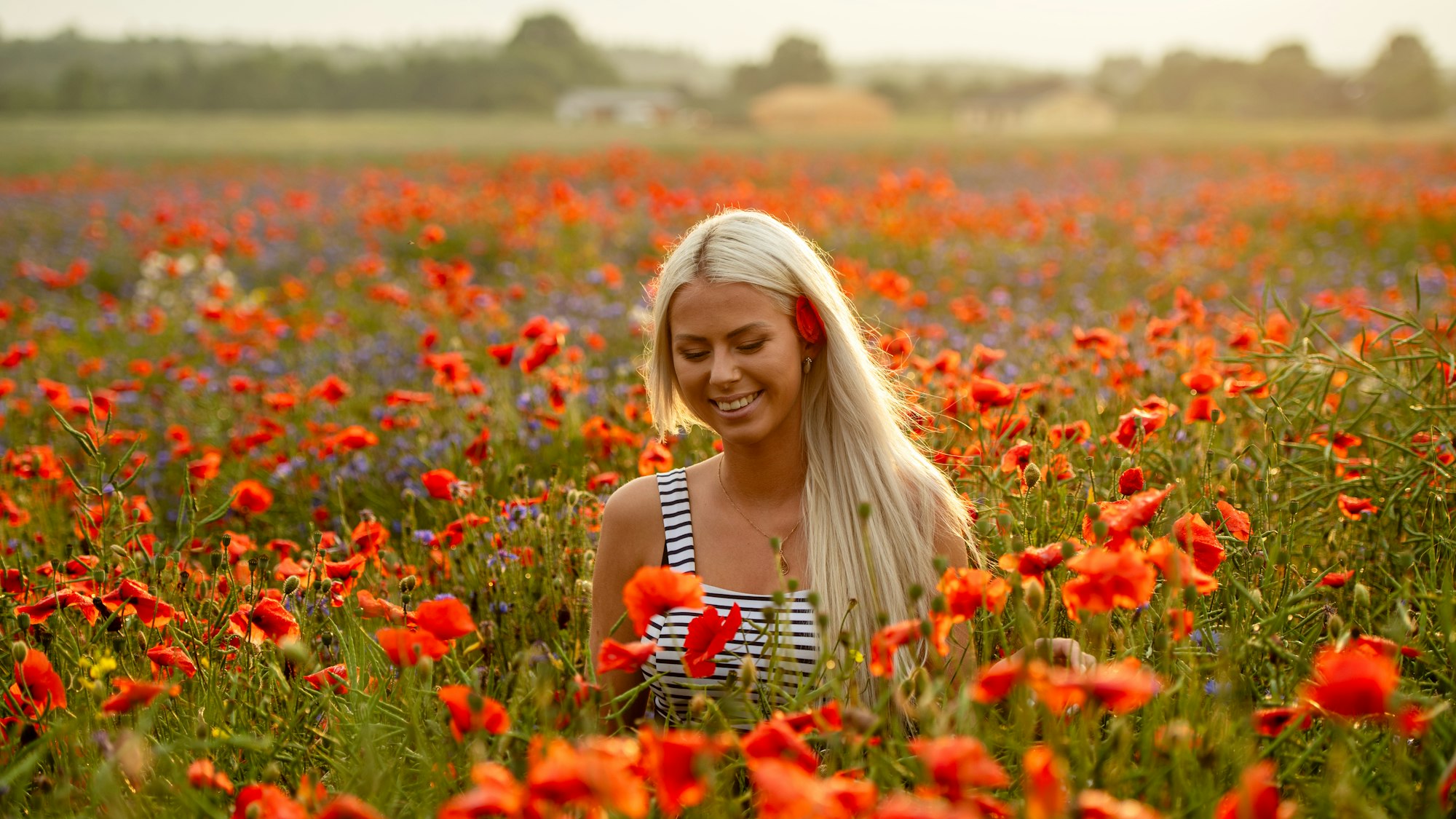 Vrouw in een klaprozenveld kijkt met een zachte glimlach omlaag